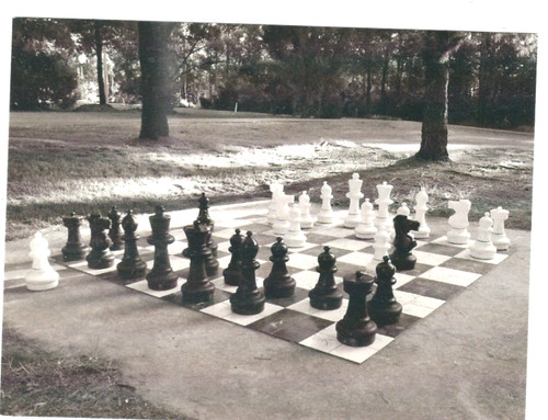 Giant chess board australia - giant,