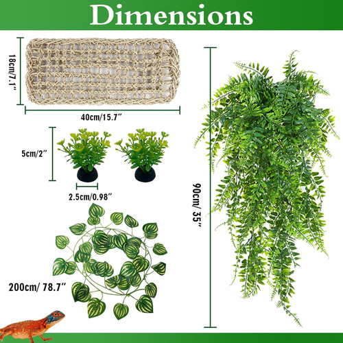 Bearded dragon accessories - bearded,
