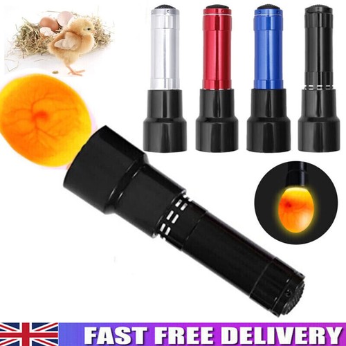 Led egg candler cool - candler,