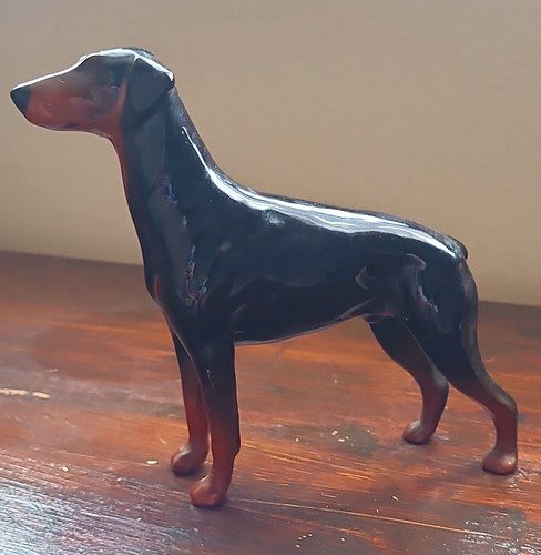 Doberman pinscher dog - doberman,