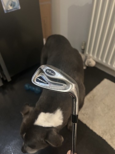 Wilson pro staff irons - irons.,