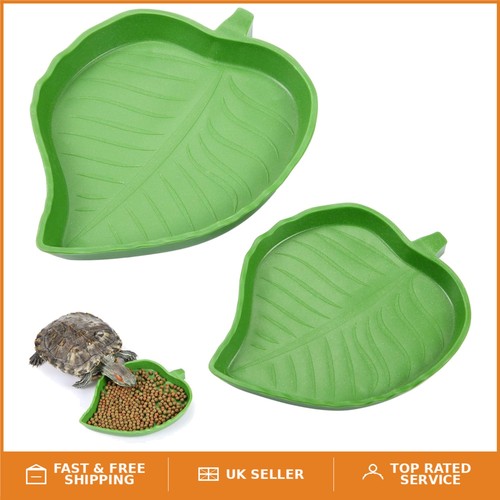 Durable leaf reptile - reptile, and