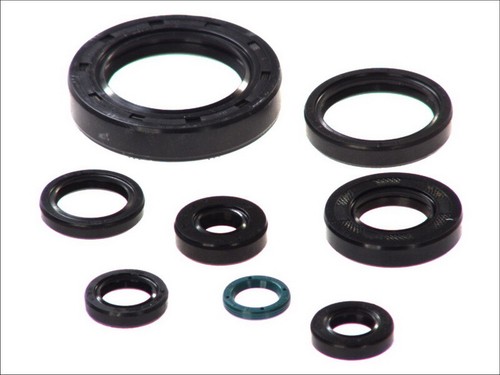 Fits athena p400210400252 full - fits,