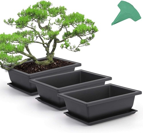 Plastic bonsai training pots - bonsai,