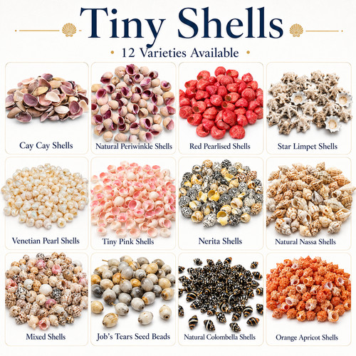 Tiny craft shells - craft, 25g