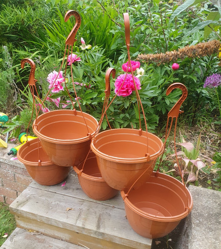 Set terracotta plastic - of,