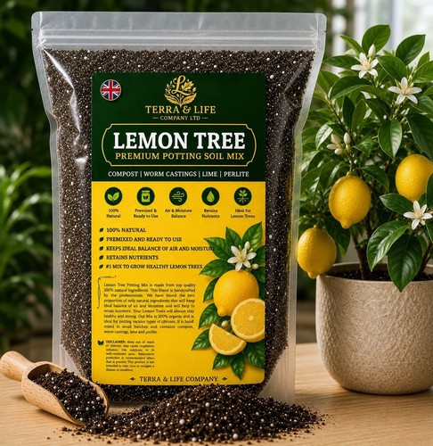 Terra life company lemon - &,