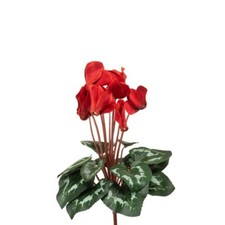 Faux Silk Cyclamen Bush 8 Flower Heads With Leaves 30cm/12 Inches Red