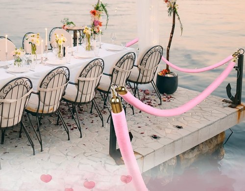 Pink velvet stanchion ropes - pink,