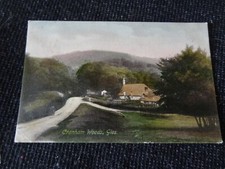Cranham Woods Glos Postcard Painswick - 98840