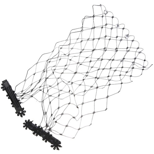 Charming black birdcage - birdcage, veil