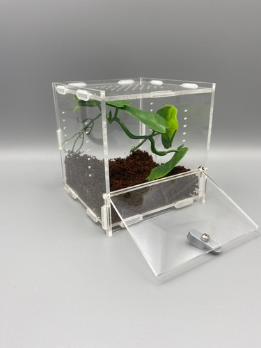 Mantis den acrylic - den,