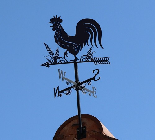 Cockerel chicken farm garden - cockerel,
