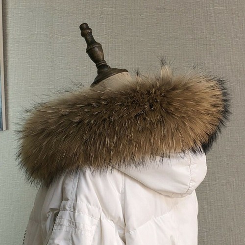 Real ussuri raccoon - real, fur