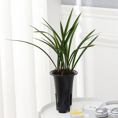 Orchid pots with - pots, breathable