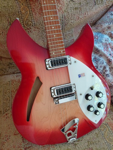 Rickenbacker 330 2005 - ,