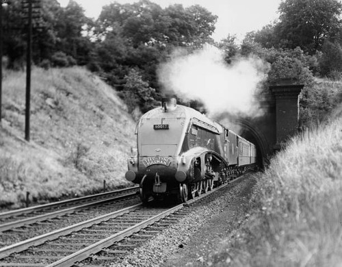 Old train photo silver fox - old,