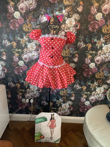 Adult fancy dress - adult, disney