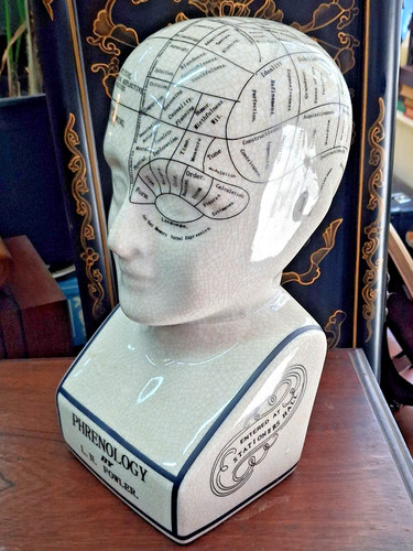 Phrenology head fowler - phrenology,