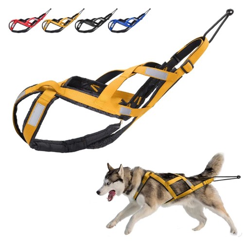 Sledding dog weight - weight, pulling