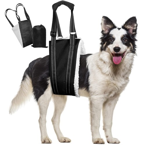 Pet dog mobility aids support - dog,