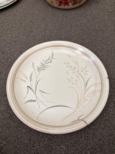 Biltons dinner plate inch - biltons,