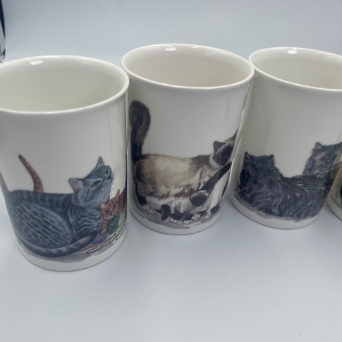 Roy kirkham cat - roy, mugs