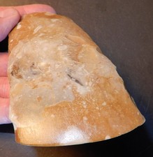 Superior razor sharp. Danish Neolithic Thin-butted  axe 3200 b.c. Great colors.