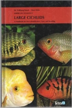 American cichlids large - cichlids, ii: