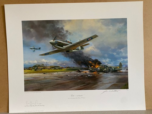 Frank wootton aviation art - wootton,