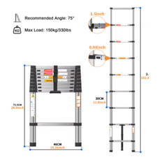 DayPlus Telescopic Ladder