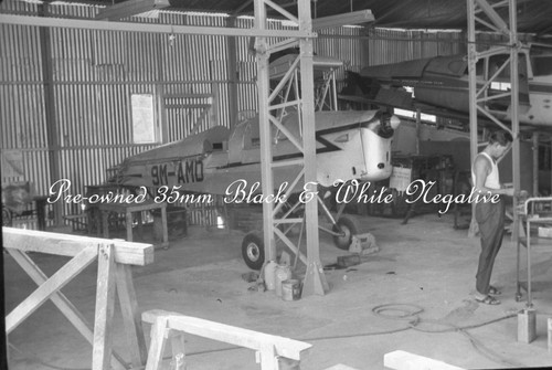 82a tiger moth - tiger,