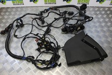 Triumph Sprint ST 1050 Wiring