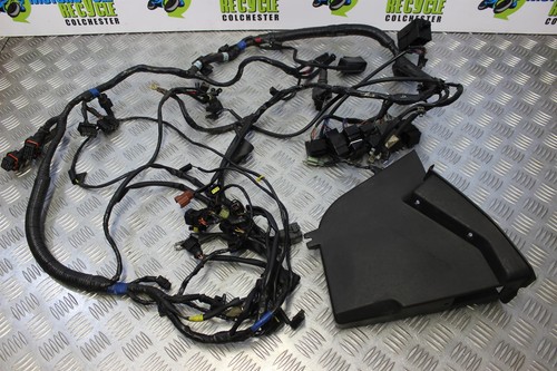 Triumph sprint 1050 wiring - sprint,