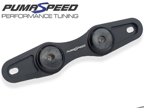 Pumaspeed racing ford - racing, rs