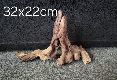 32x22cm mopani wood individual - 32x22cm,