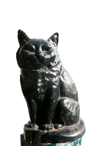 Black cat cast - black, stop