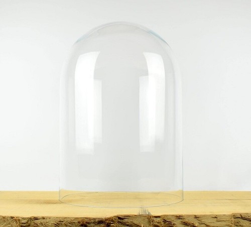 Large glass dome cover cloche - glass,