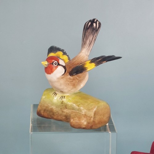 Rare crown staffs goldfinch - rare, by