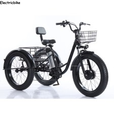 Premium Electric Cargo Trike