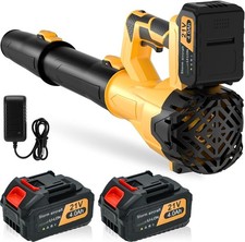 2000W 21V Cordless Electric