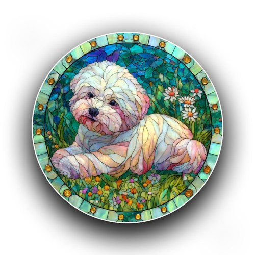 Bichon frise dog - bichon,