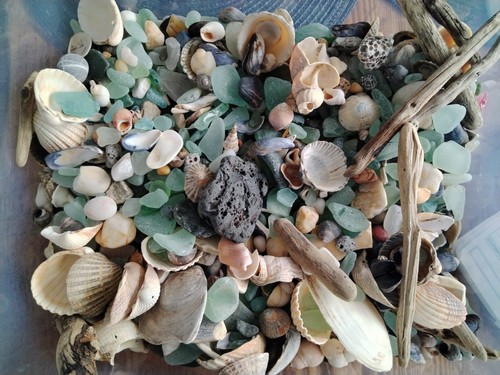 Sea treasure craft - craft, pack