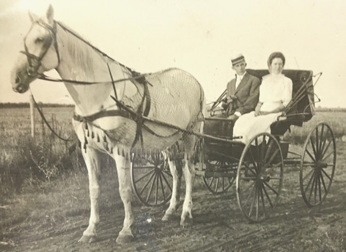 Rppc horse drawn - horse, man
