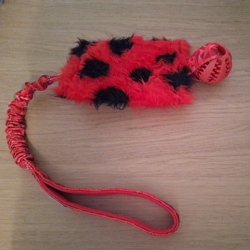Swag bungee tug tuggy - tug, dog