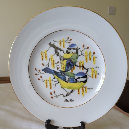 Royal burlington plate - "royal,