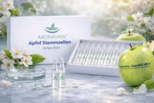 Moravan Apple Stem Cell