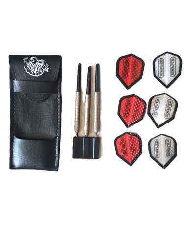 Unknown tungsten darts set