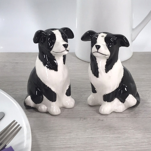 Border collie novelty salt - border,