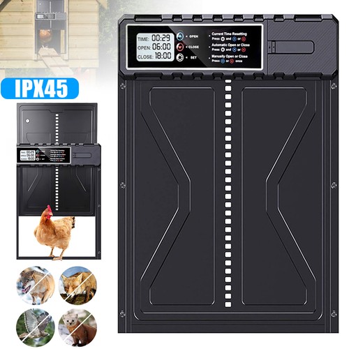 Automatic solar chicken coop - automatic,